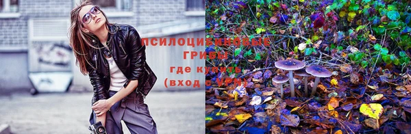 хмурый Алексеевка