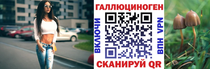 купить закладку Мичуринск Галлюциногенные грибы Cubensis