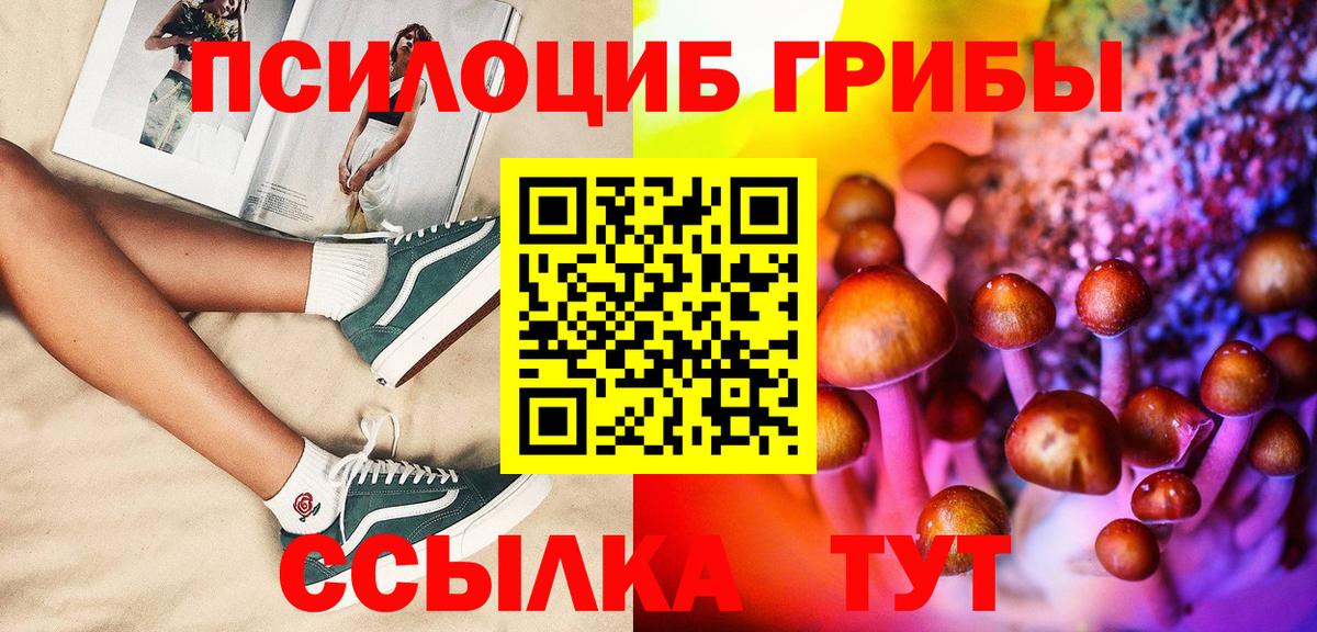 Псилоцибиновые грибы ЛСД Мичуринск
