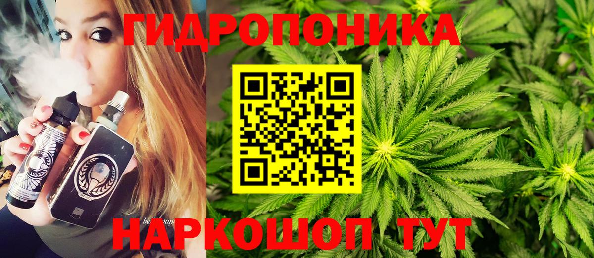 Шишки марихуана марихуана Мичуринск
